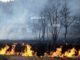 У Вінницькій області за тиждень сталось 4 пожежі в екосистемі