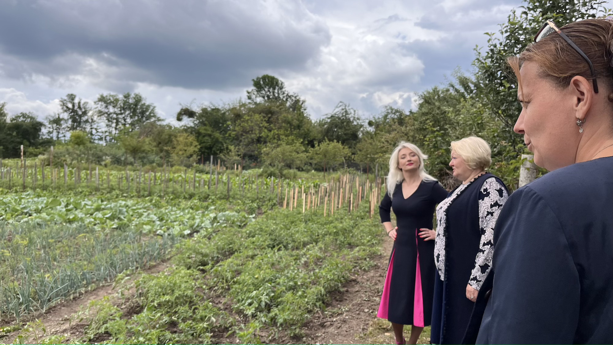 Територія із власним городом та садком