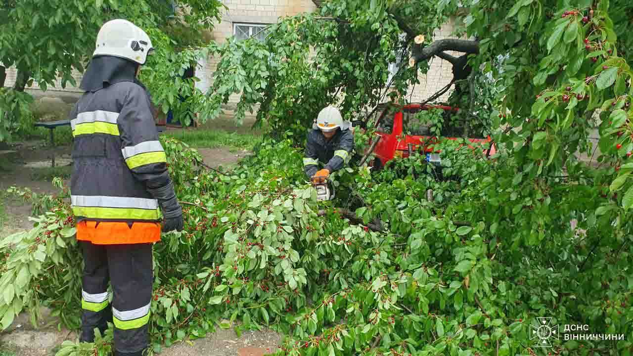 На Вінниччині дерева падали на дороги та пошкодили автомобіль1