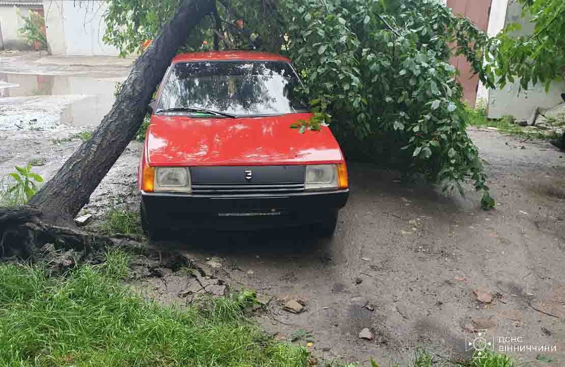 На Вінниччині дерева падали на дороги та пошкодили автомобіль2