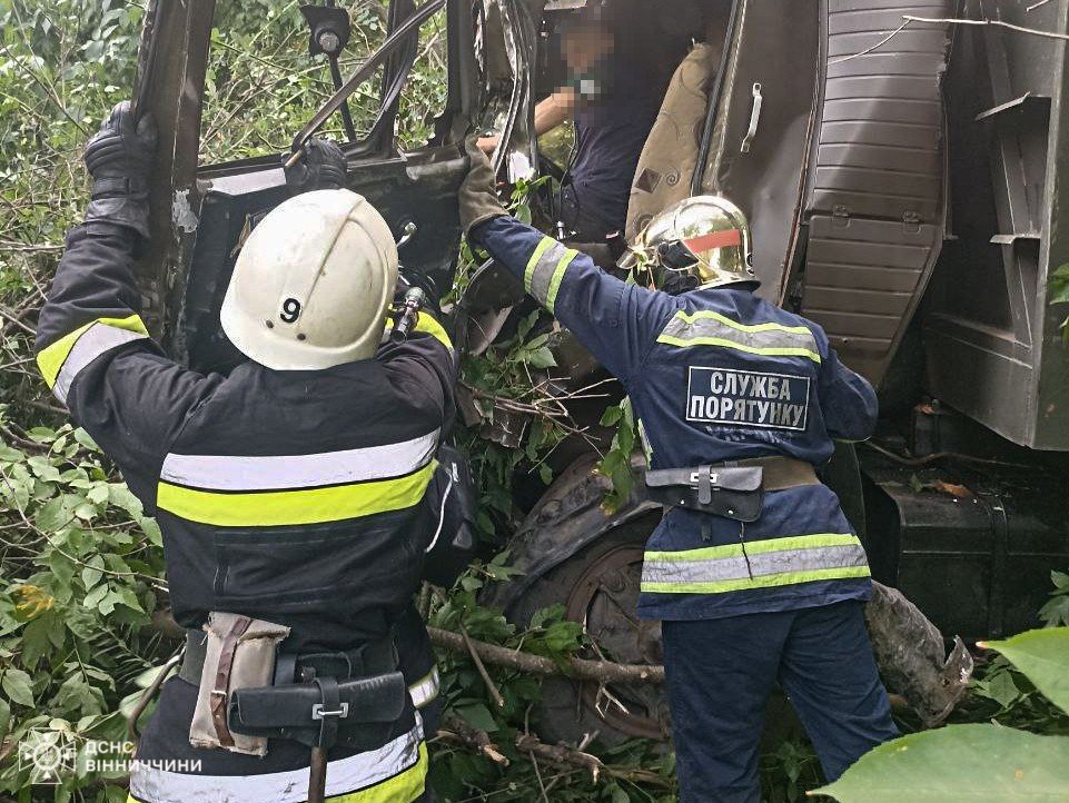 На Вінниччині вантажівка зіткнулась з деревом