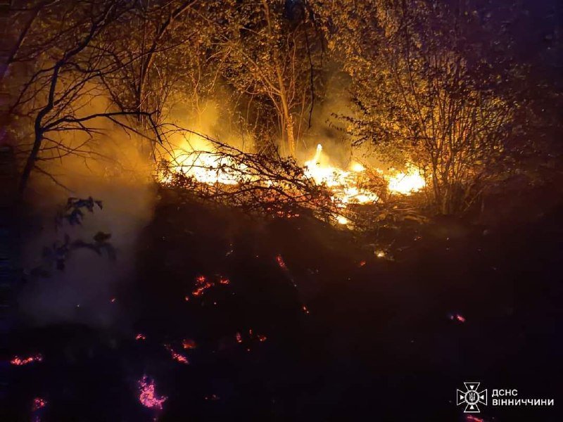 За добу рятувальники Вінниччини ліквідували 35 пожеж в екосистемах