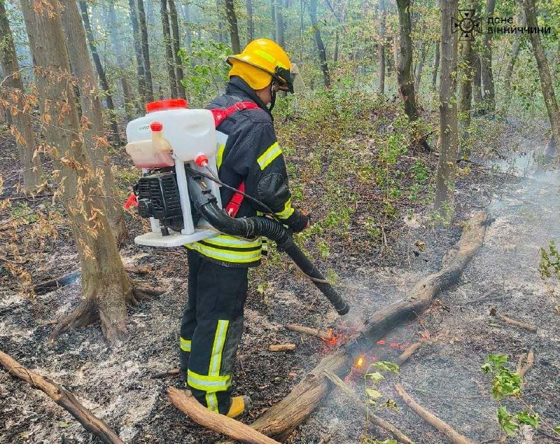 За добу рятувальники Вінниччини ліквідували 35 пожеж в екосистемах