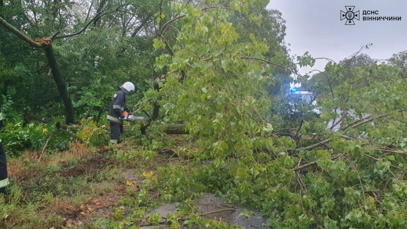 На Вінниччині сильний вітер валив дерева