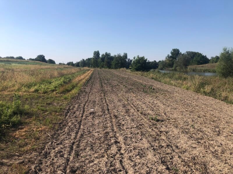 У Гайсинській громаді  незаконно використовували землю захисної смуги