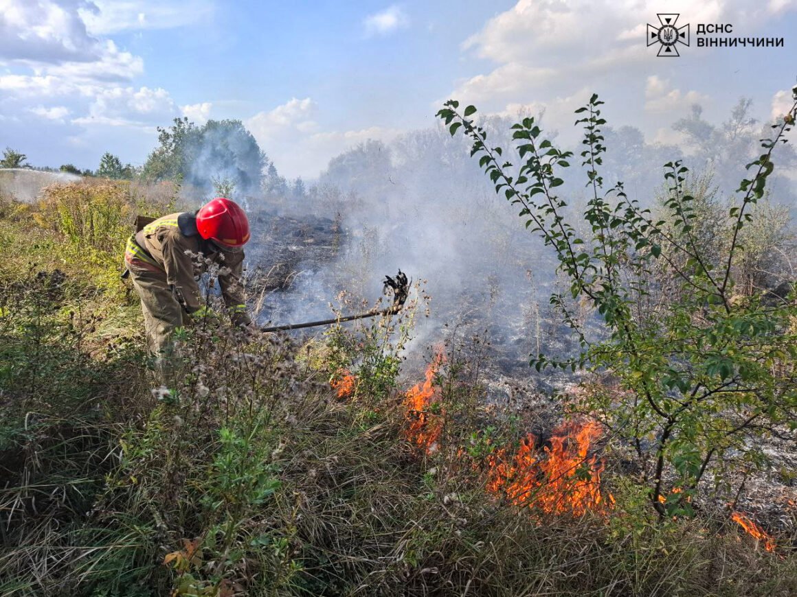 На Вінниччині сталося 35 пожеж