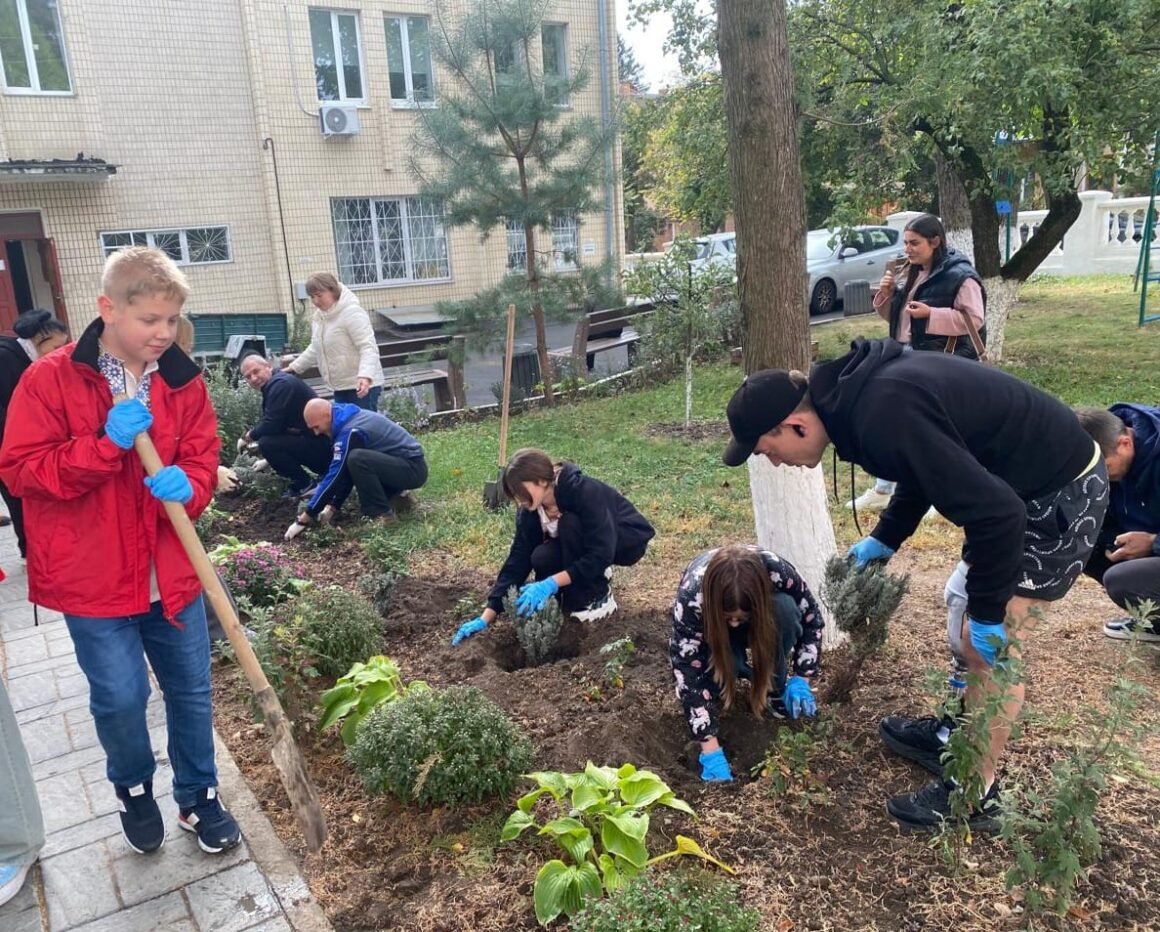 Висадили лаванду.