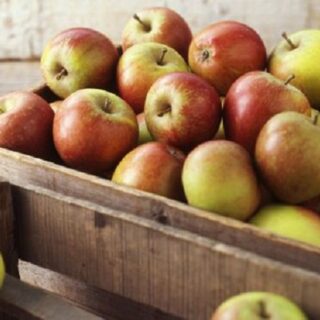 Зберігаємо яблука.