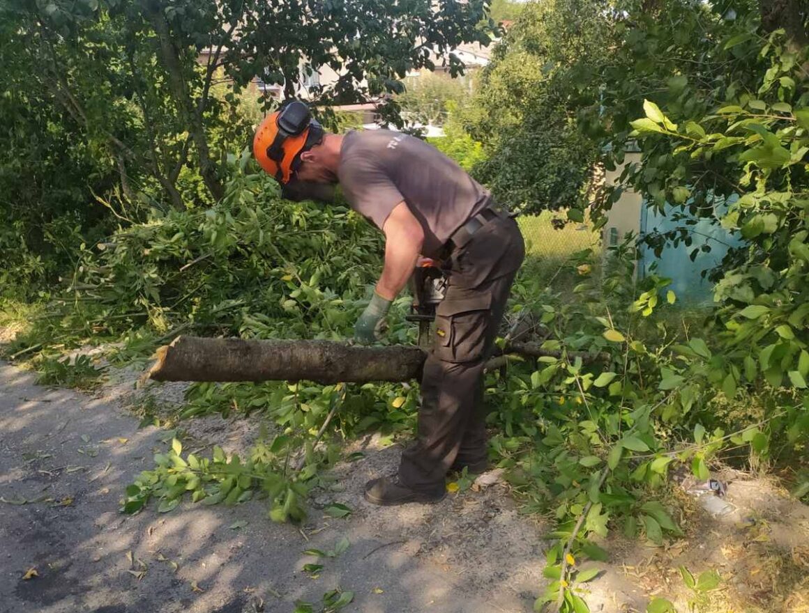 У приватному секторі Вінниці зрізають аварійні дерева