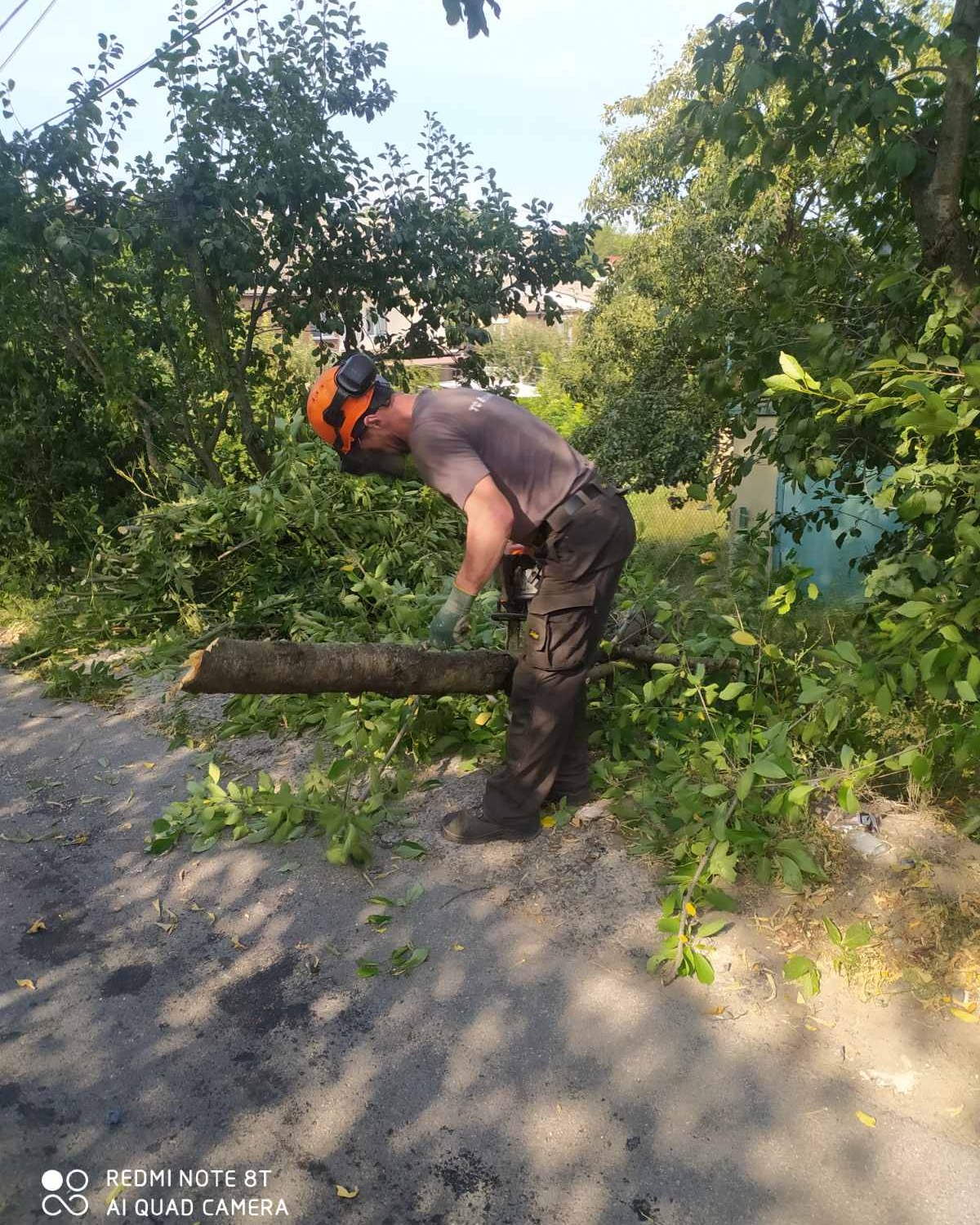 У приватному секторі Вінниці зрізають аварійні дерева
