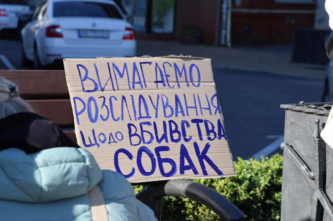 У Вінниці зоозахисниці пікетували міську та обласну ради через загибель собак в лікарні Пирогова