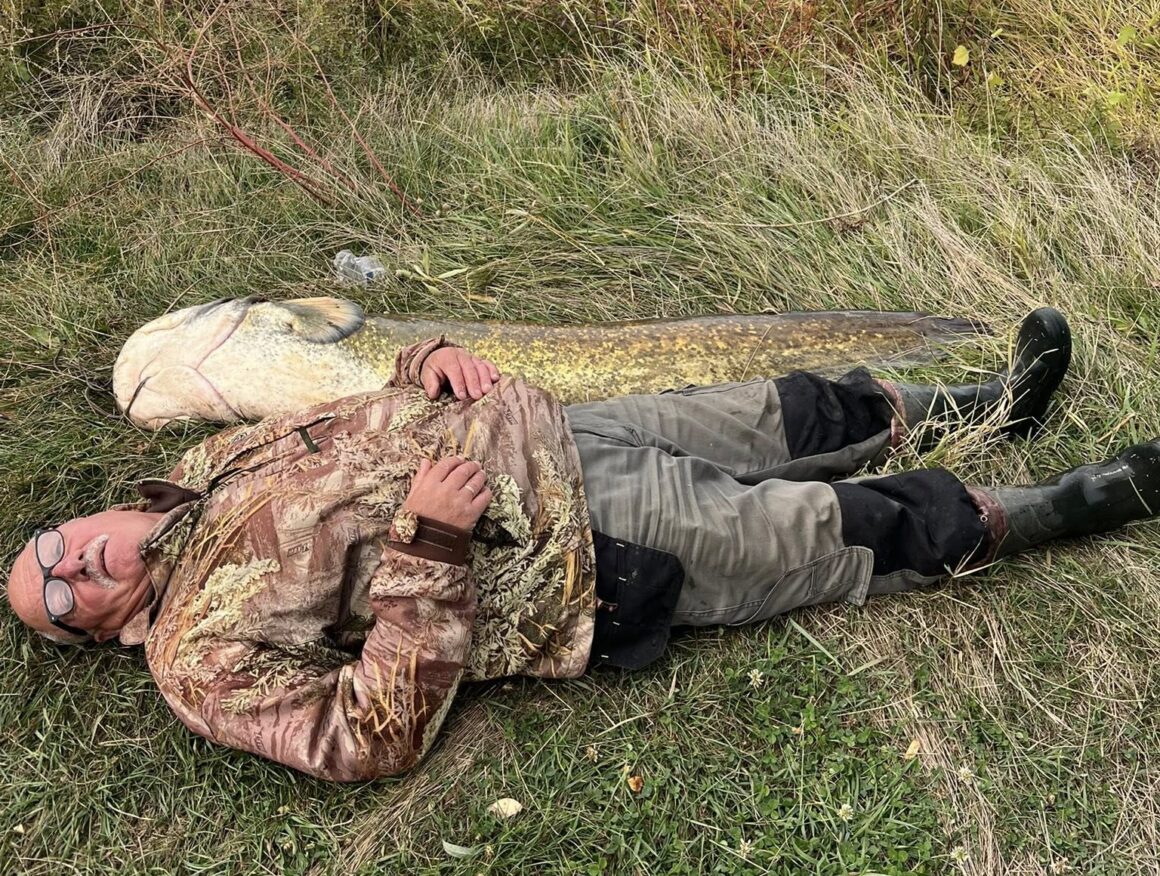 У річці Дохна на Вінниччині зловили сома-гіганта
