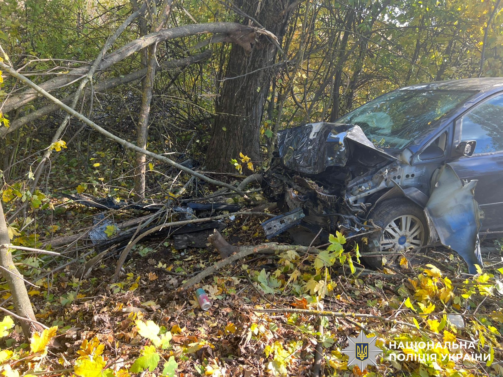 На Вінниччині сталося чотири дорожньою-транспорті пригоди з постраждалими та загиблою