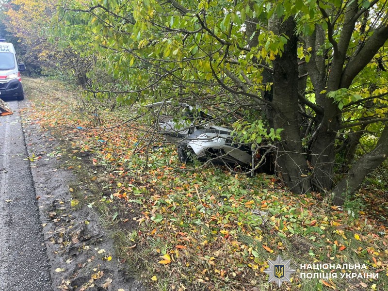 На Вінниччині сталося чотири дорожньою-транспорті пригоди з постраждалими та загиблою