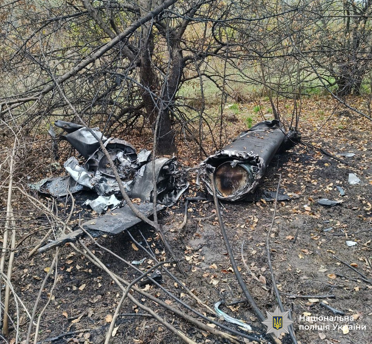 На Вінниччині знешкодили бойові частини ворожих БПЛА та ракети