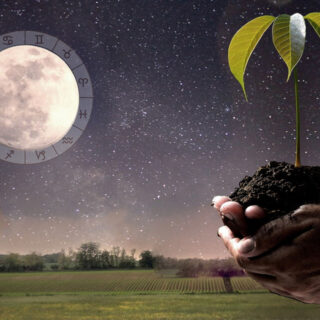 Місячний календар на листопад.