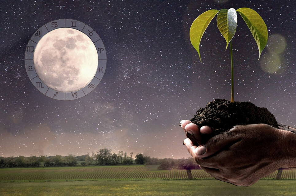 Місячний календар на листопад.