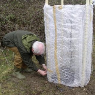 Вкриваємо персик.