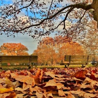 Погода у листопаді.