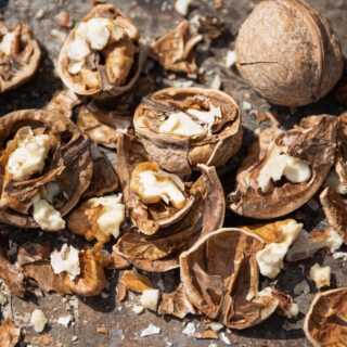 Горіхова шкаралупа