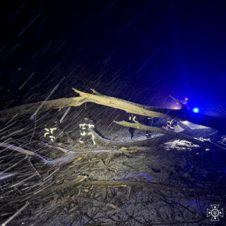 Падали дерева на дороги.