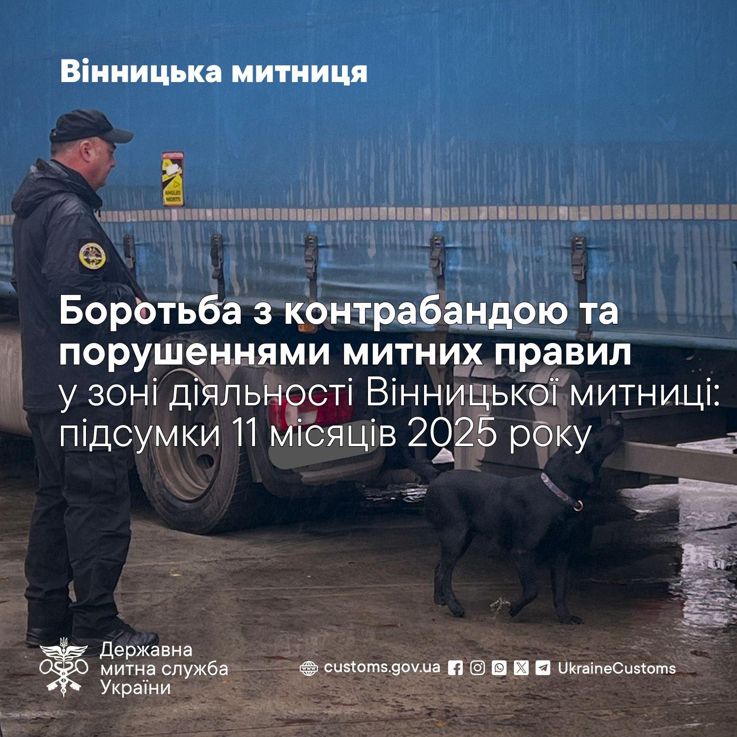 Вінницькі митники 368 протоколів про порушення митних правил