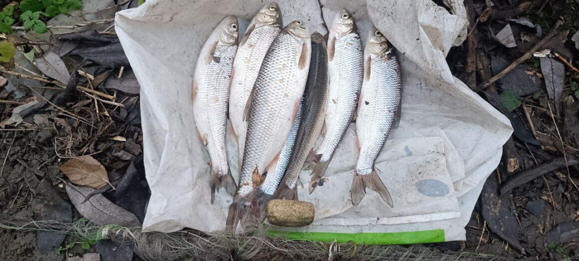 Жінку затримали за вилов червонокнижної риби на Вінниччині