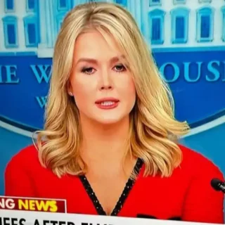 Керолайн Левітт.