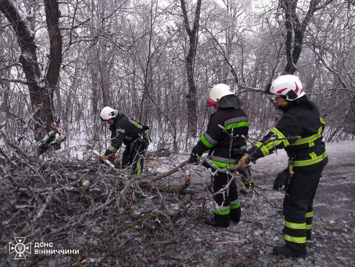 У Вінницькій області розчищали дороги від повалених дерев та допомагали медикам