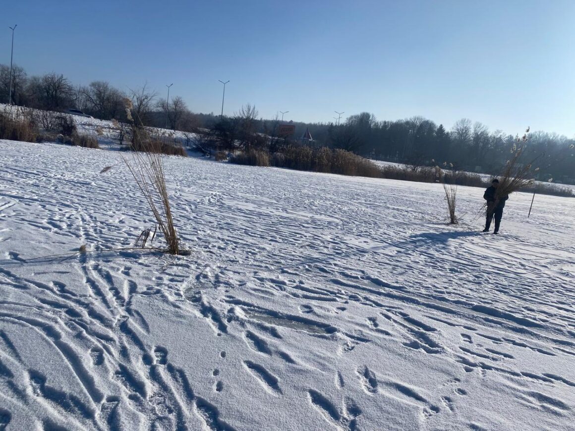 Інспектори вінницького рибпаитруля рятують водойми від заморів