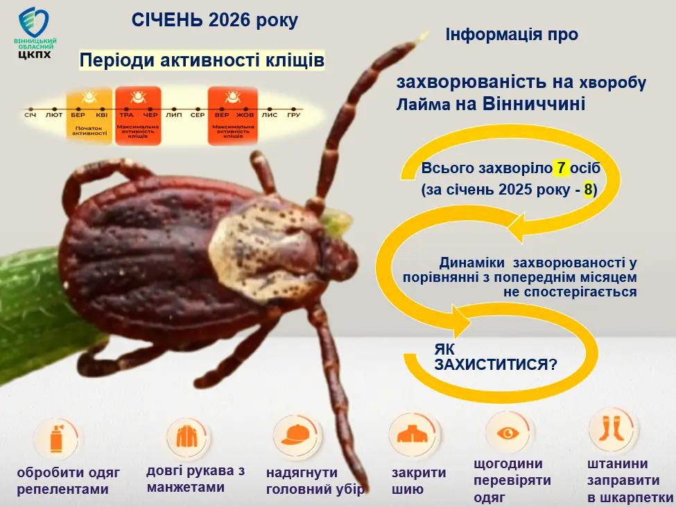 За січень на Вінниччині зареєстровано 7 випадків бореліозу