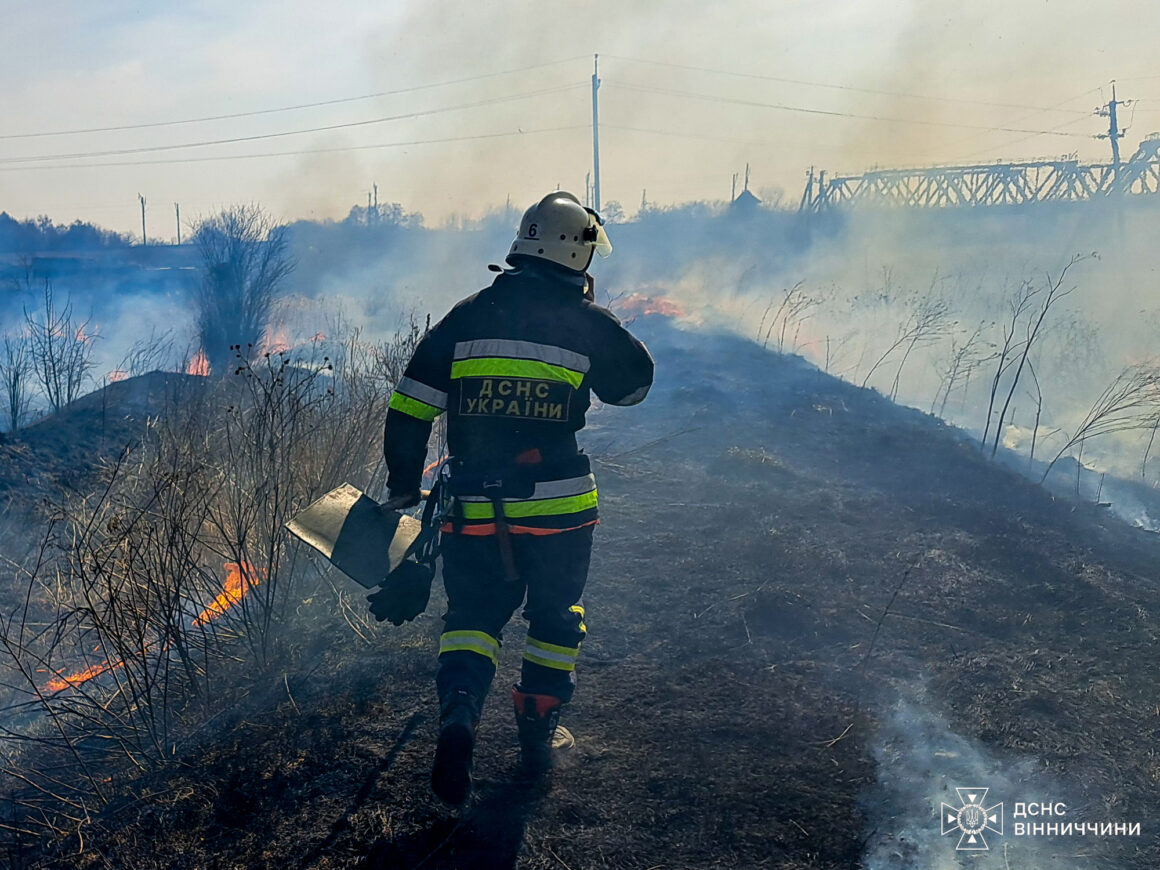 На Вінниччини горять екосистеми