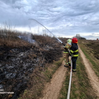 Пожежі в екосистемах.