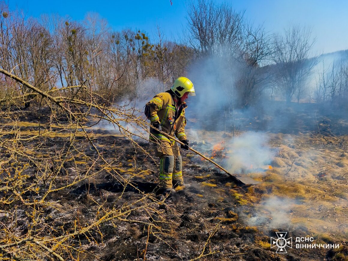 Минулої доби на Вінниччині вигоріло 11 гектарів землі