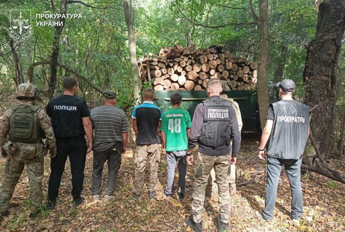 Злочинна група незаконно рубала ліс у заповіднику на Вінниччині