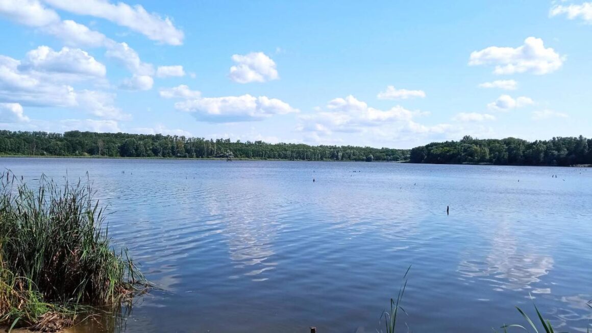 Водосховище на Вінниччині повернули громаді