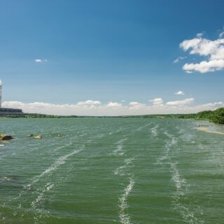 Ладижинське водосховище відновлення екології