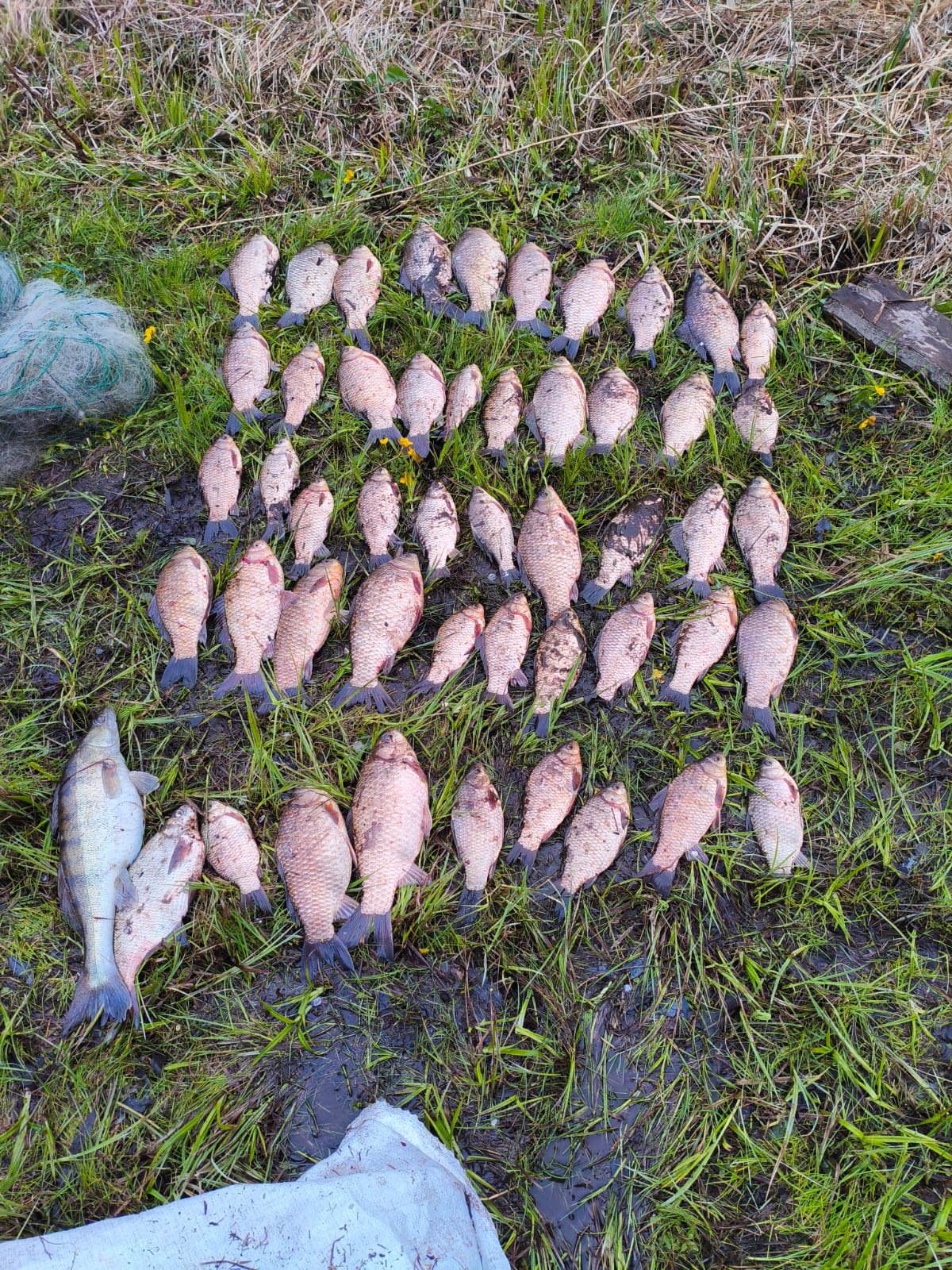 На річці Південний Буг на Вінниччині браконьєр наловив риби на понад 81 тисячу гривень