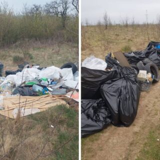 День Довкілля.