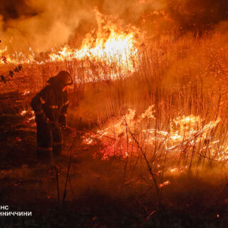 Пожежі в екосистемах.