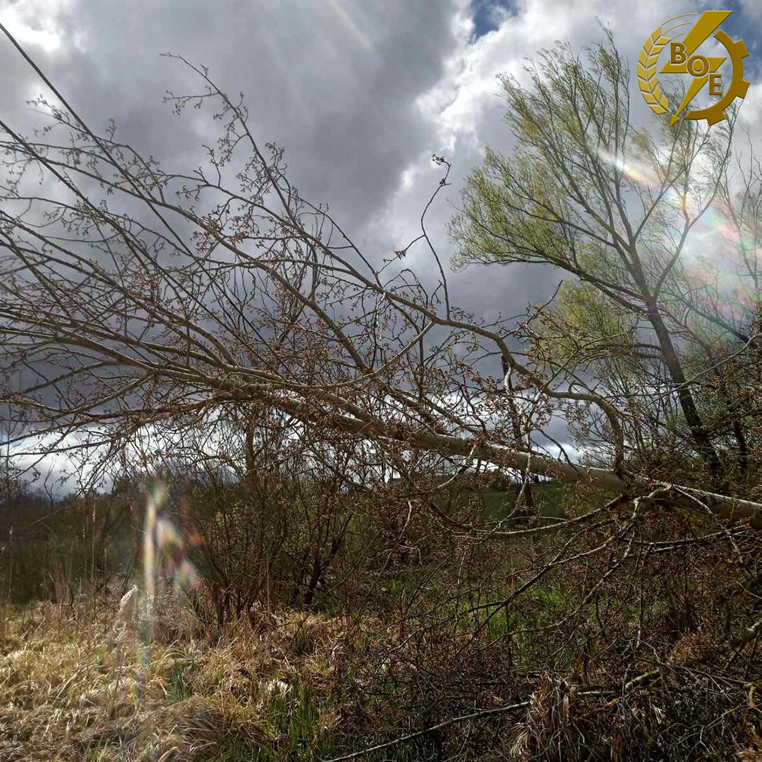 Енергетики повідомили про шкоду завдану негодою на Вінниччині