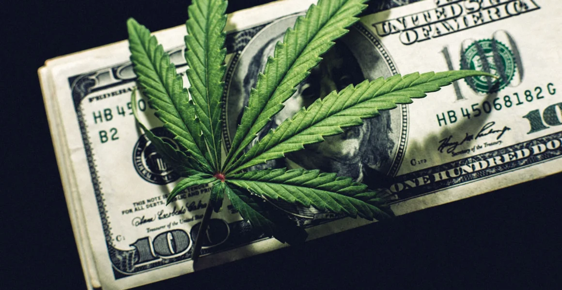 На Вінниччині молоді жінки організували збут канабісу