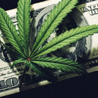 Роповсюджували канабіс.