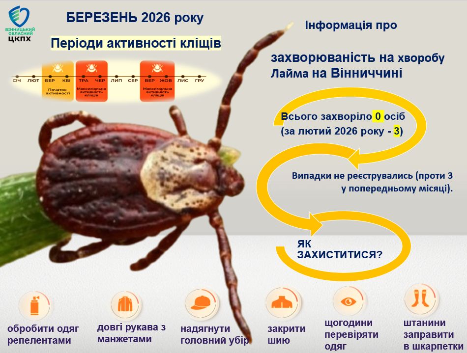 Три випадки хвороби Лайма від укусу кліщів зафіксували на Вінниччині