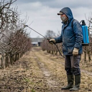Обприскування саду.