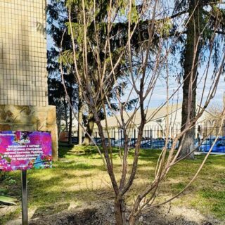 Вінницька митниця.