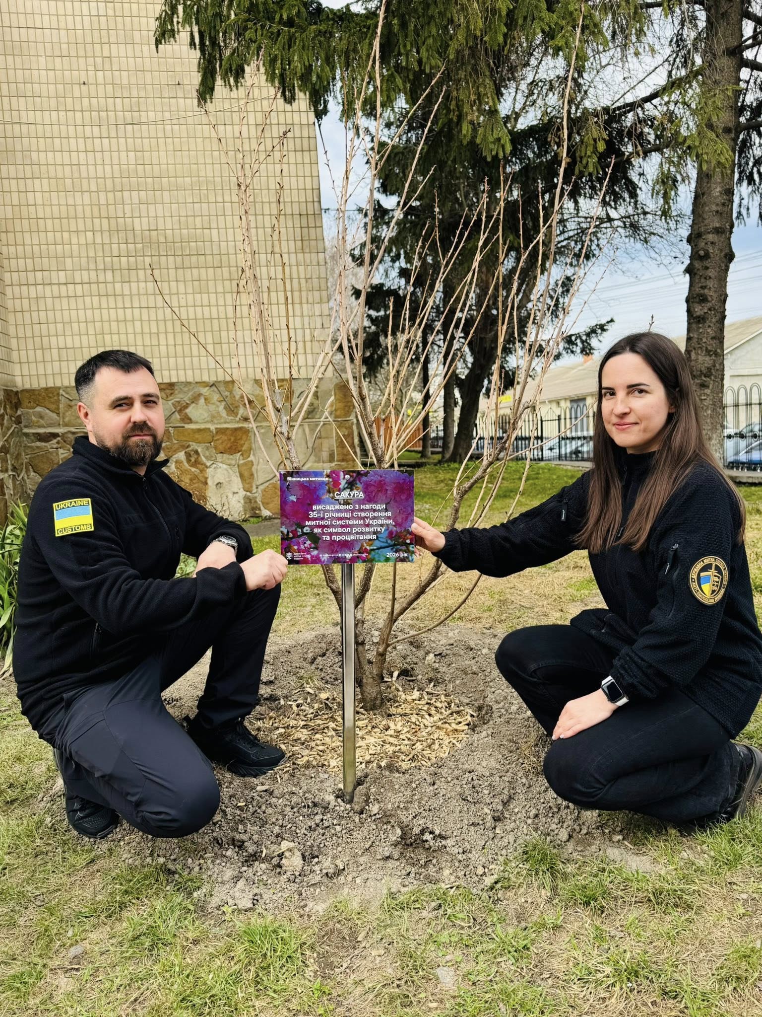 Біля Вінницької митниці висадили сакуру на честь ювілею служби