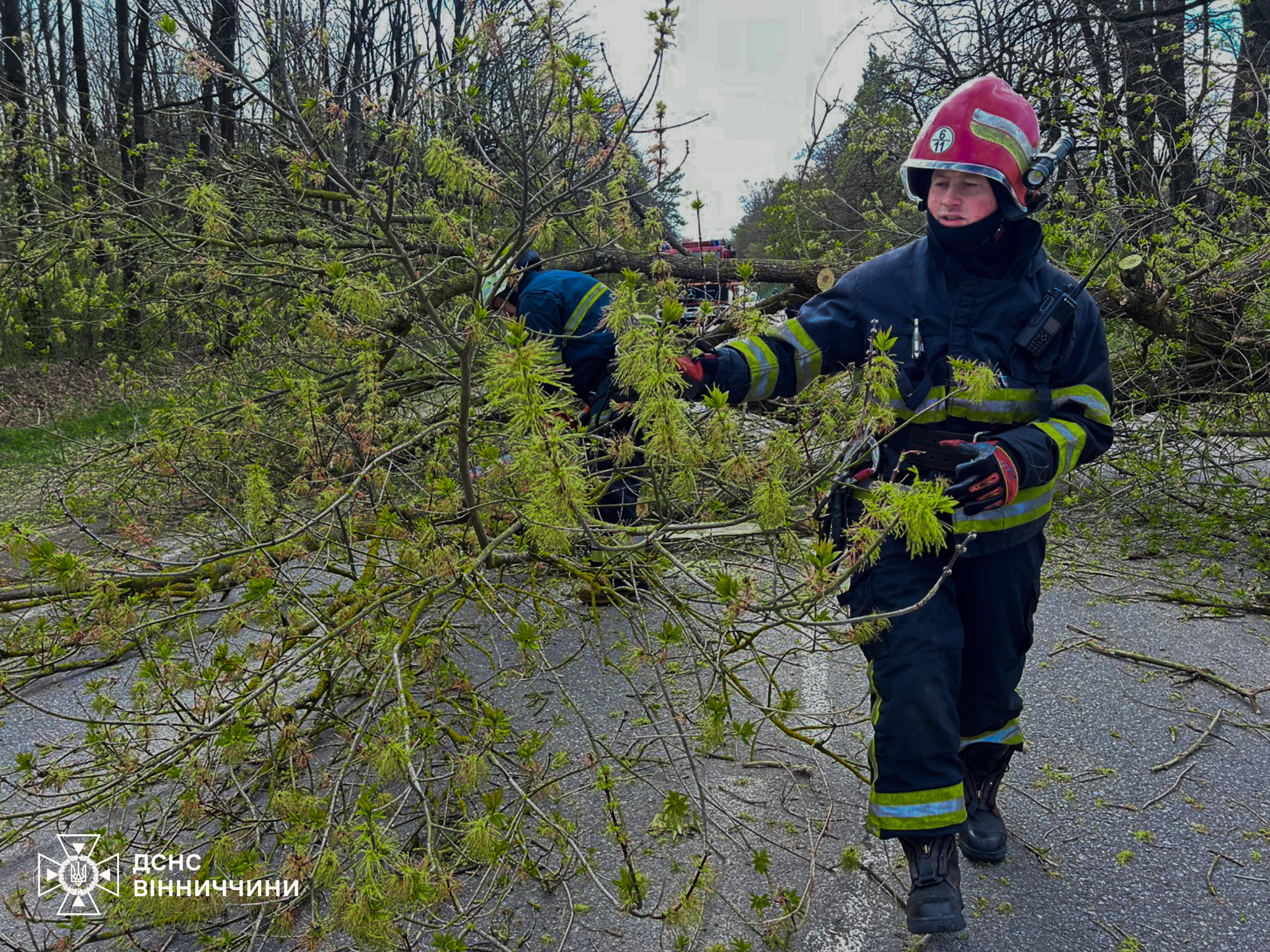 На Вінниччині сильний вітер валив дерева на шляхи