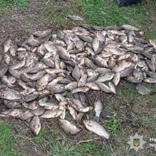 Порушення під час нересту.