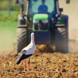 Посівна на Вінниччині.